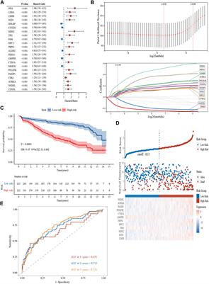 A novel glycolysis-related gene signature for predicting the prognosis of multiple myeloma